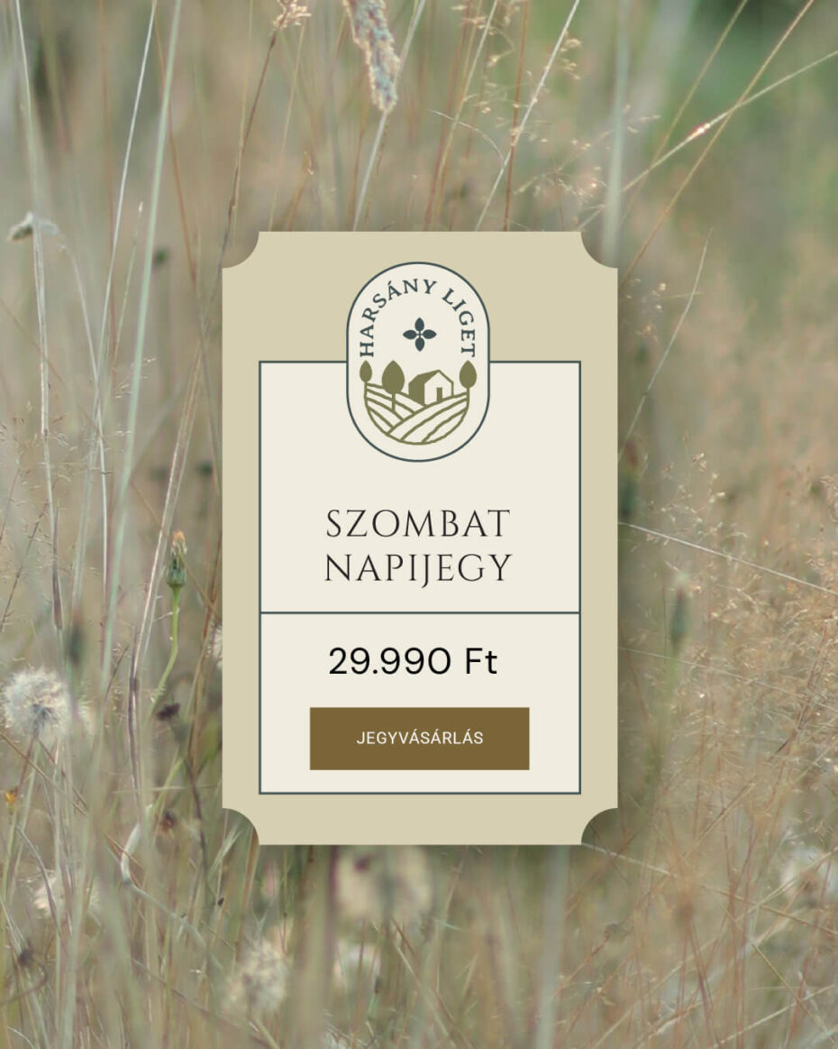 Szombat napijegy