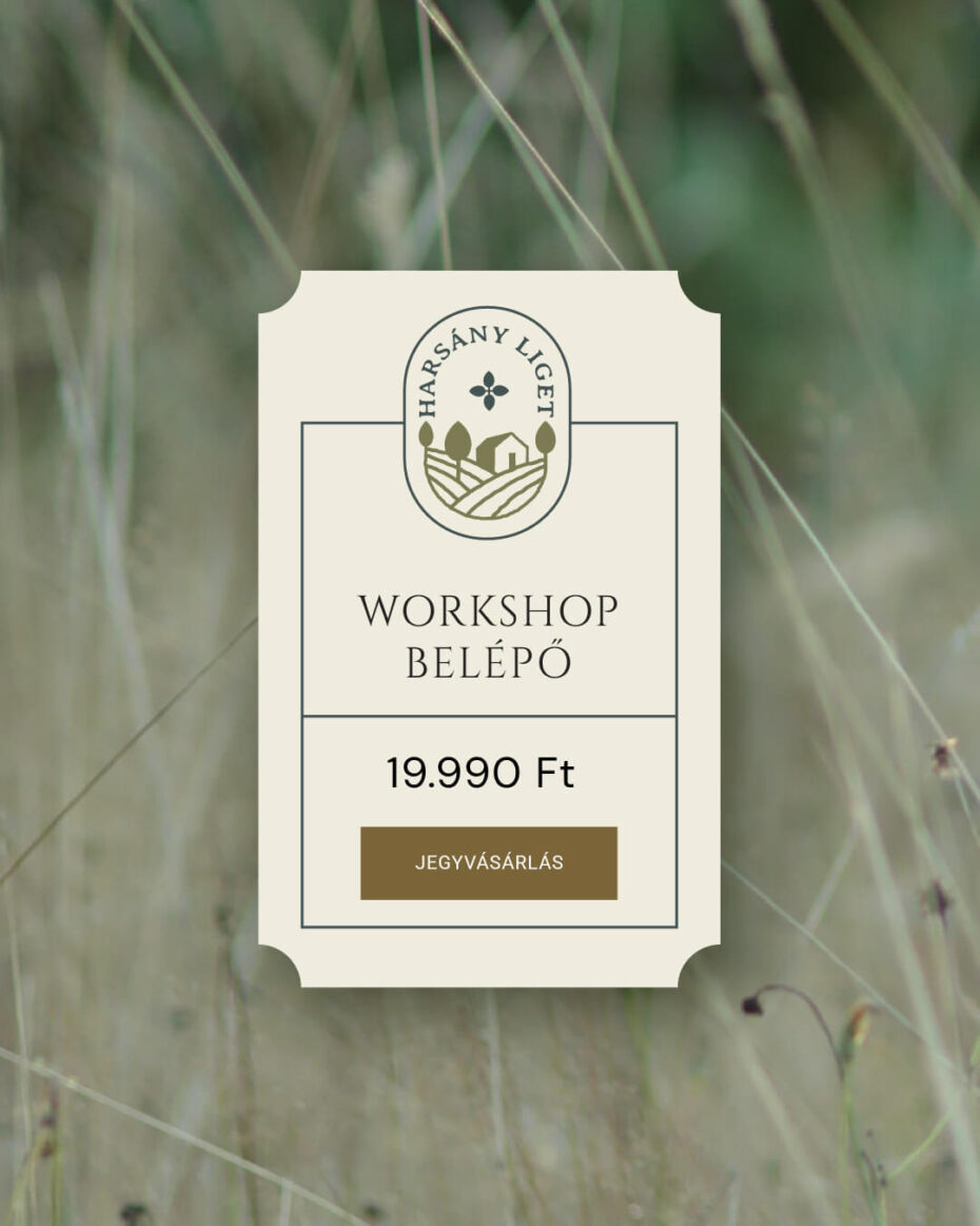 Workshop belépő